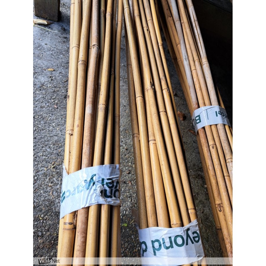 Bundel 25 bamboestokken snijbonenstokken € 17.50, Tuin en Terras, Kweekspullen, Overige typen, Kwekerij de Triemen, Ophalen of Verzenden