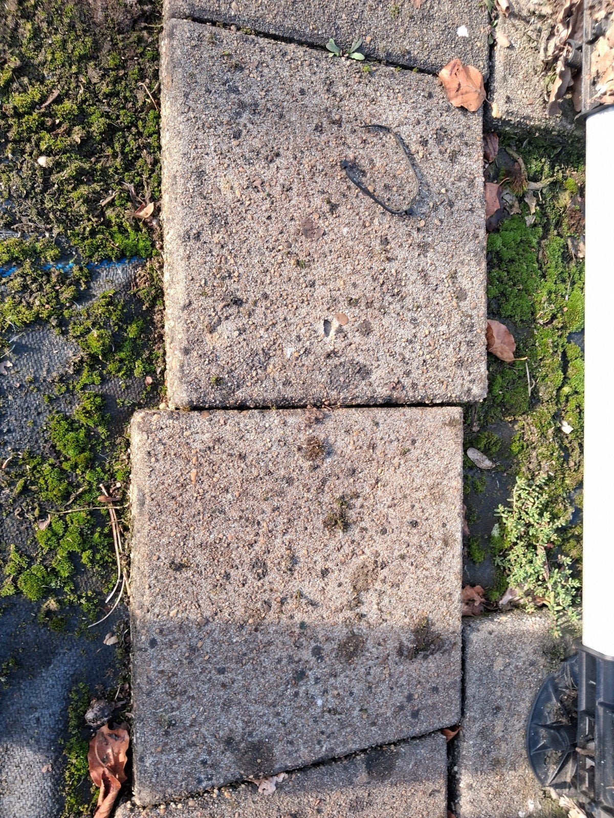 Gratis afhalen: ca. 100-150 stoeptegels 30x30x4 cm, Ophalen