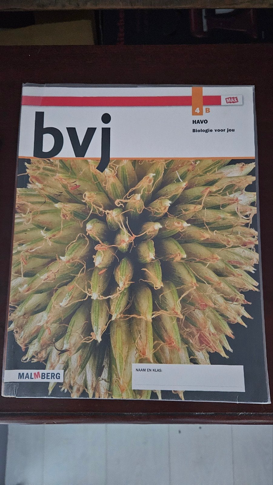 Bvj Biologie voor jou 4B HAVO, Ophalen of Verzenden, Zo goed als nieuw, HAVO, Biologie