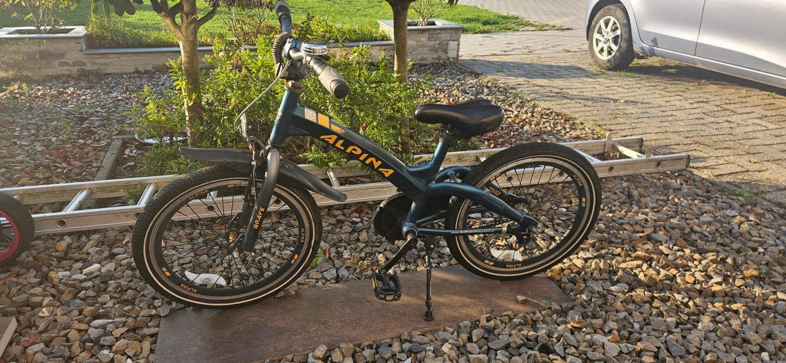 Alpina Fiets 20 inch, Ophalen, Gebruikt, Alpina, Terugtraprem