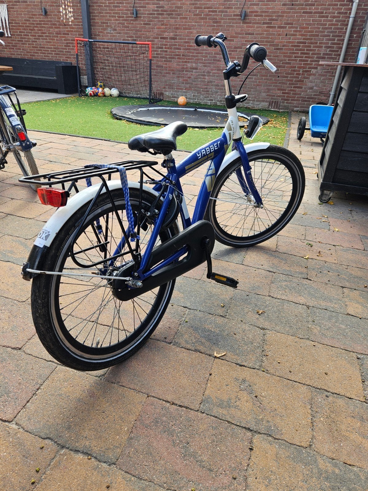 Foto 4 van Alpina Yabber 22 inch