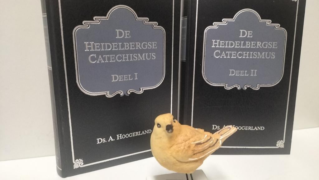 Hoogerland, Ds. A.; De Heidelbergse Catechismus (2 delen), Ophalen of Verzenden, Gelezen, Christendom | Protestants