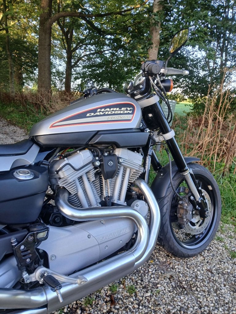 HARLEY-DAVIDSON XR1200, Niet ingevuld, 2 cilinders, Occasion, Motorrijbewijs A