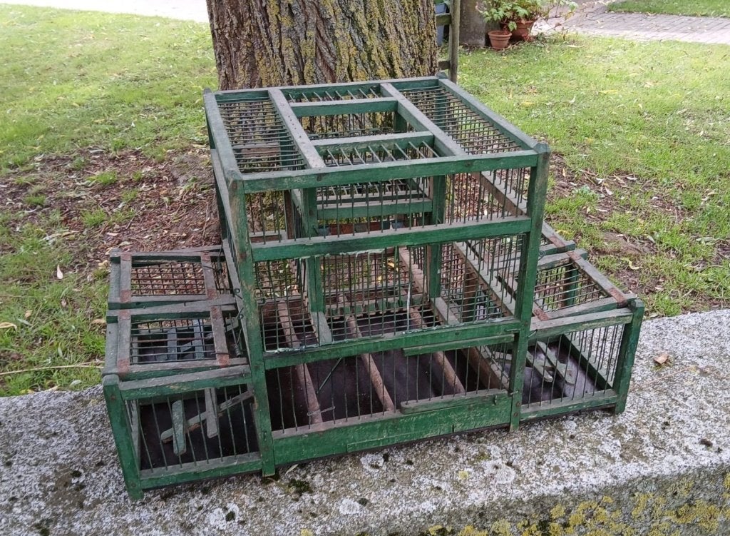~ Grote Oude Vangkooi Vogelkooi, Antiek en Kunst, Ophalen of Verzenden