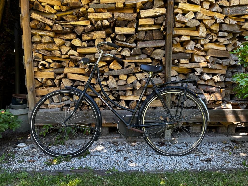 Omafiets Pointer - Klassieke Damesfiets, Fietsen en Brommers, Fietsen | Dames | Omafietsen, 53 tot 56 cm, Ophalen of Verzenden