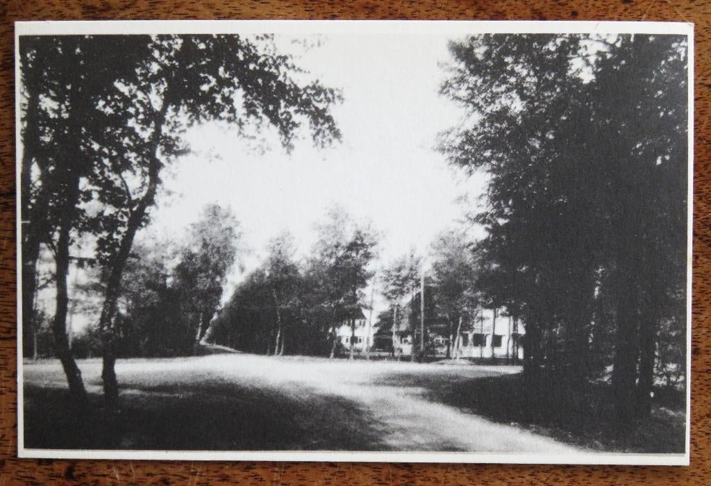 Ermelo: Viersprong Julianalaan, Ophalen of Verzenden, Voor 1920, Noord-Brabant
