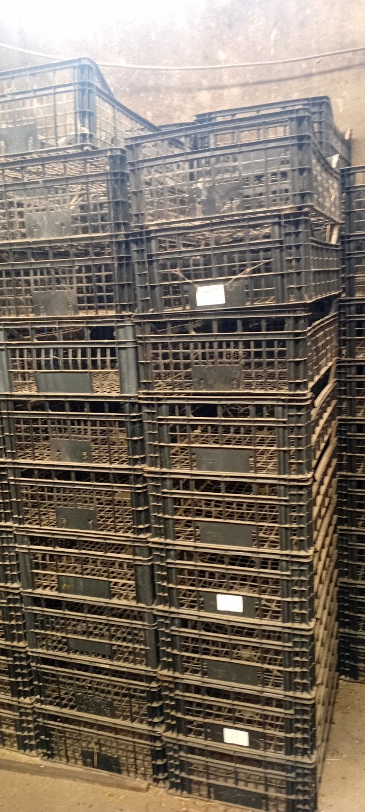 Stevige gebruikte kratten voor opslag of transport, Doe-het-zelf en Verbouw, Gebruikt, 40 tot 60 cm, 50 tot 75 cm, Ophalen of Verzenden