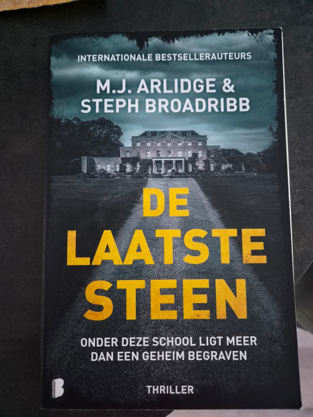 De Laatste Steen - M.J. Arlidge & Steph Broadribb (Thriller), Ophalen of Verzenden, Zo goed als nieuw
