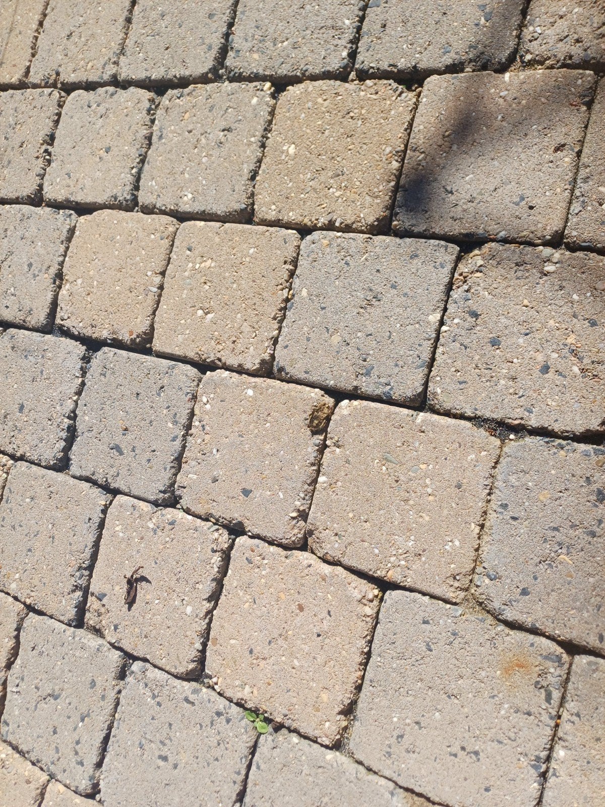 Cobbelstones 14x14 cm  +-28 m2 gratis, Tuin en Terras, Ophalen, Gebruikt, Beton, Klinkers