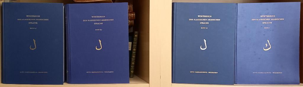 Wörterbuch der Klassischen Arabischen Sprache HC 4 Volumes, Boeken, Woordenboeken, Ophalen of Verzenden, Gelezen, Van Dale, Arabisch