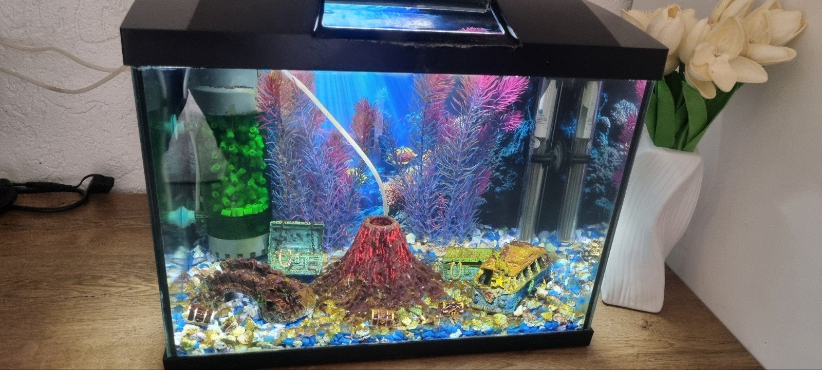 Glass akwarium, Ophalen of Verzenden, Zo goed als nieuw, Interieur en Design