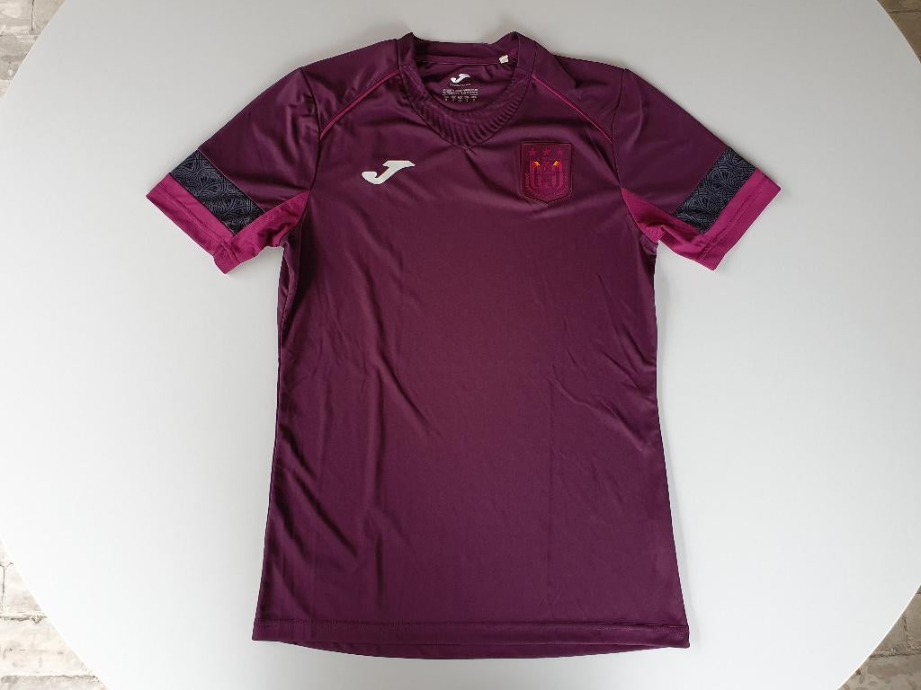 Paars trainingsshirt Anderlecht (Joma, S) (2), Ophalen of Verzenden, Gebruikt, Buitenlandse clubs, Shirt