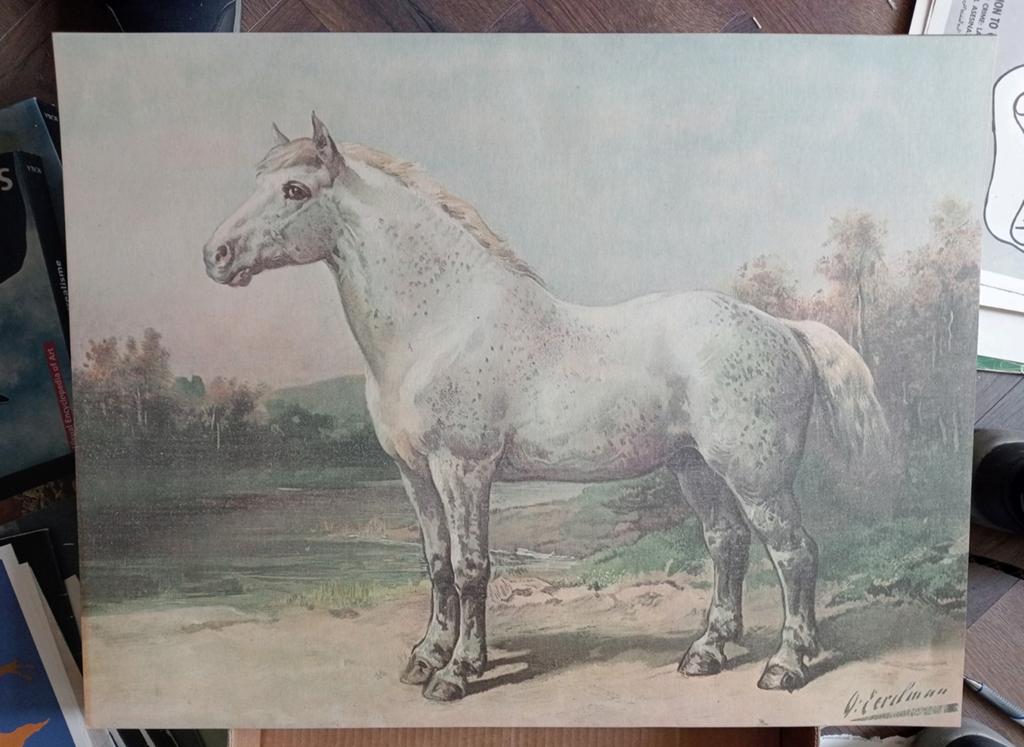 Otto Eerelman prent Paard, Ophalen of Verzenden, Voor 1940, Gebruikt, Overige onderwerpen