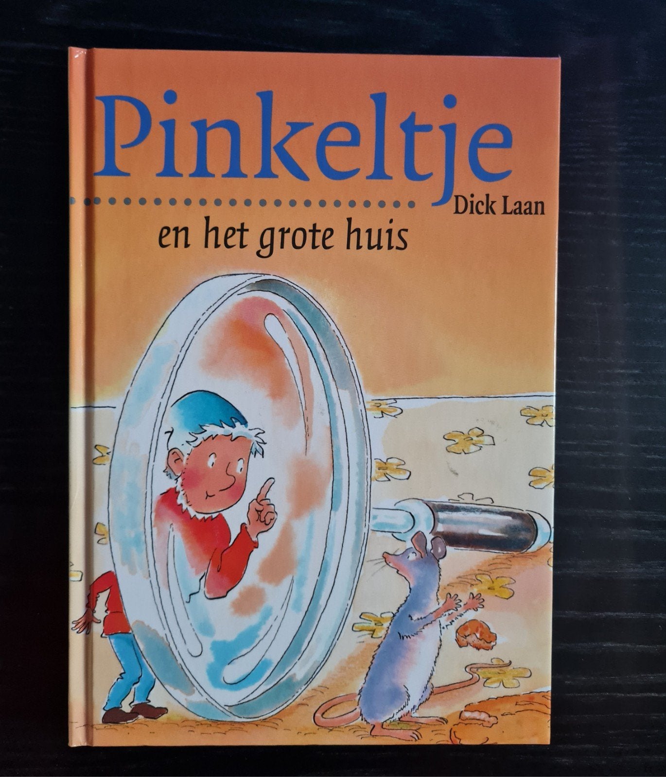 Pinkeltje en het grote huis, Boeken, Fictie algemeen, Dick Laan, Ophalen of Verzenden, Zo goed als nieuw