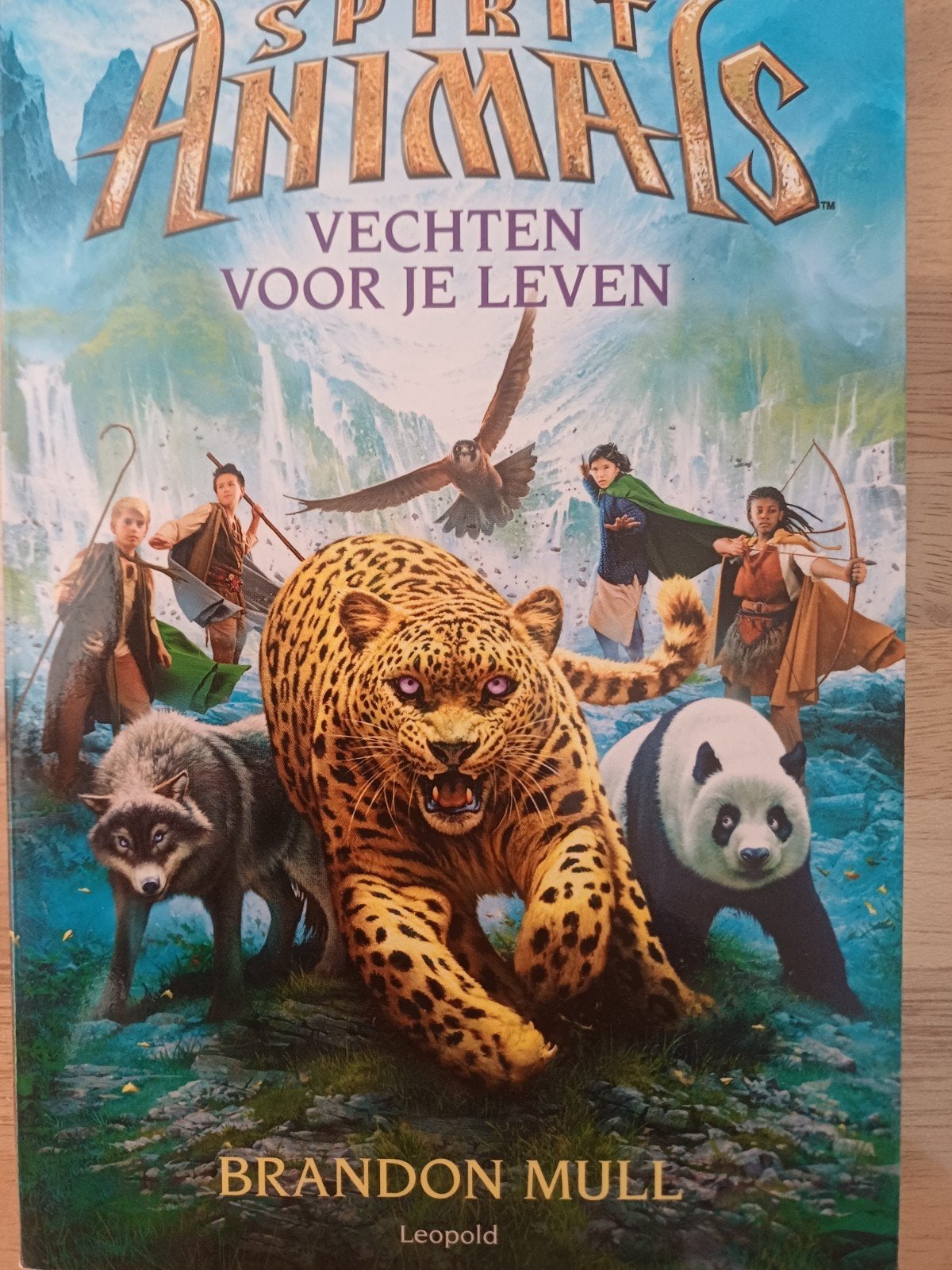 Brandon Mull - Vechten voor je leven, Ophalen of Verzenden, Zo goed als nieuw, Brandon Mull