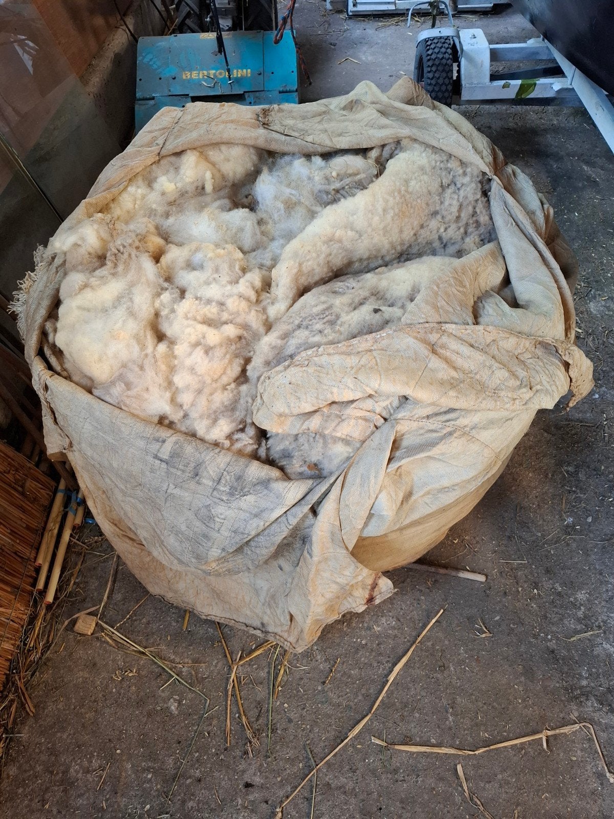 Mooie zak vol met schapen wol, Dieren en Toebehoren, Schapen, Geiten en Varkens