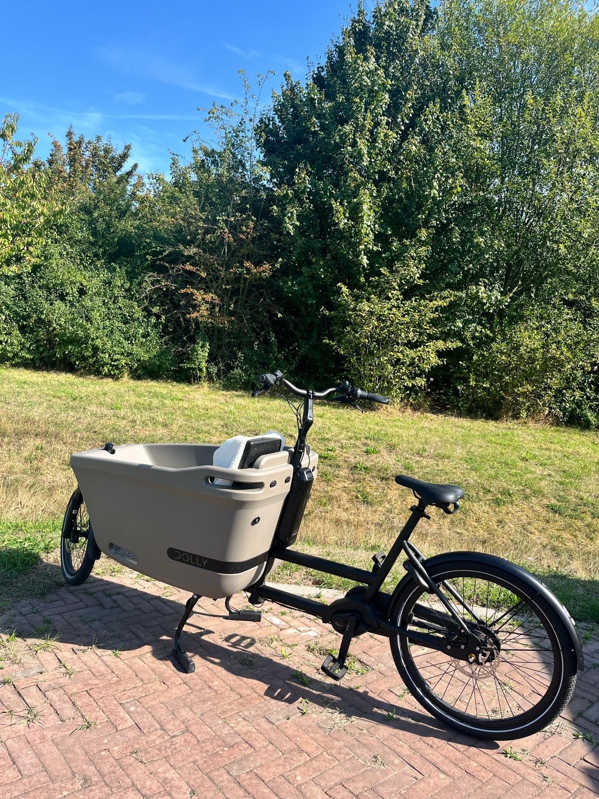 Dolly Joy Bakfiets - zo goed als nieuw, Elektrisch, Zo goed als nieuw, 2 kinderen, Schijfrem