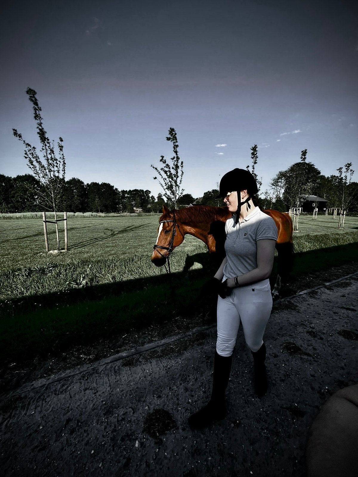 verzorg paard gezocht!, Ophalen of Verzenden, Zo goed als nieuw