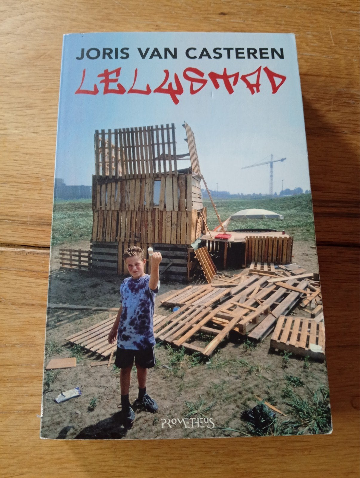 Lelystad - Joris van Casteren (Boek), Joris van Casteren, Ophalen of Verzenden, Zo goed als nieuw, Nederland