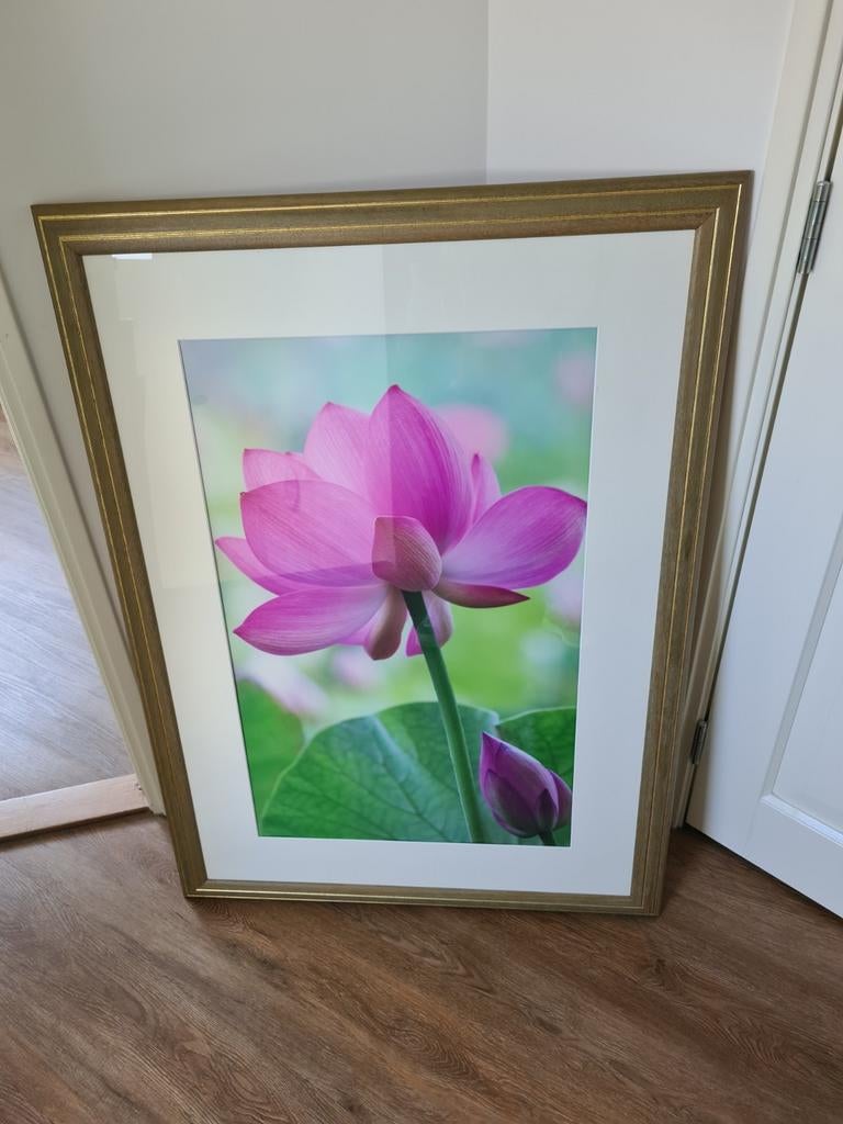 Houten lijst met passe-partout en bloemposter., Huis en Inrichting, Woonaccessoires | Lijsten, Ophalen, Gebruikt, 75 tot 100 cm