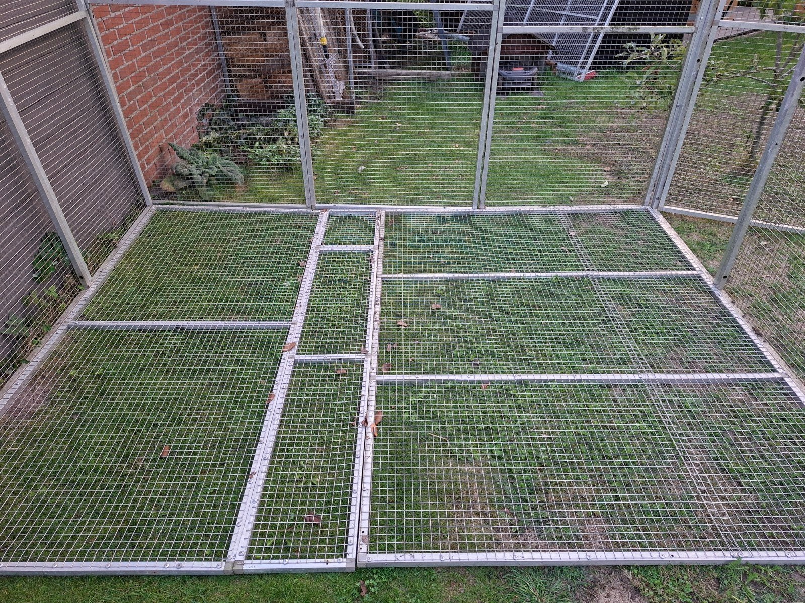 Foto 4 van voillere duivenren vogels parkieten kattenverblijf