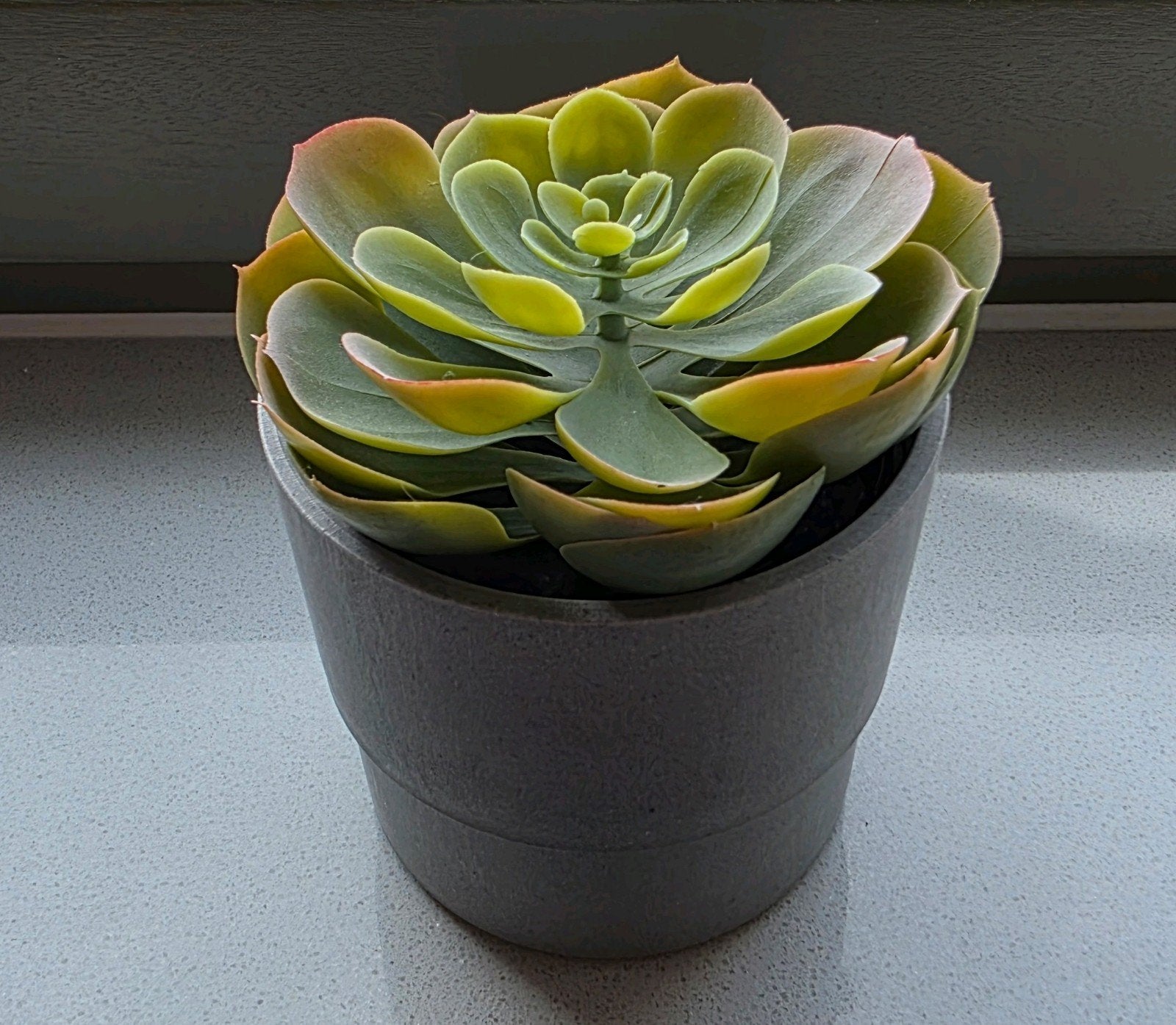 Kunstplantje in pot, Ophalen, Zo goed als nieuw