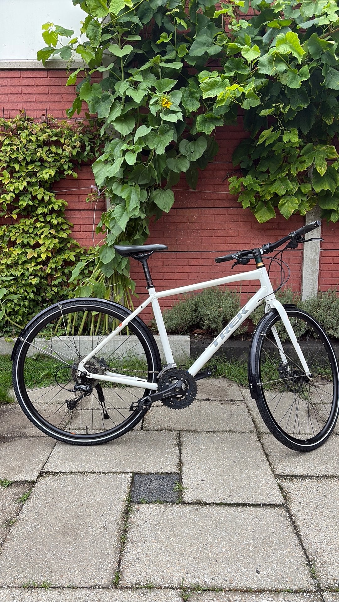 Trek Allant 7.4 fitnessbike sportfiets 20” (M) 2016 izgs, Fietsen en Brommers, 28 inch, Gebruikt, Meer dan 20 versnellingen, Schijfrem