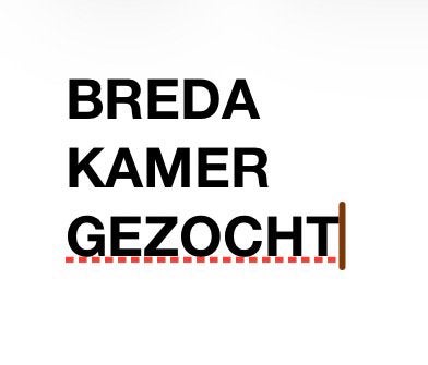 Studio of kamer gezocht in Breda., Breda