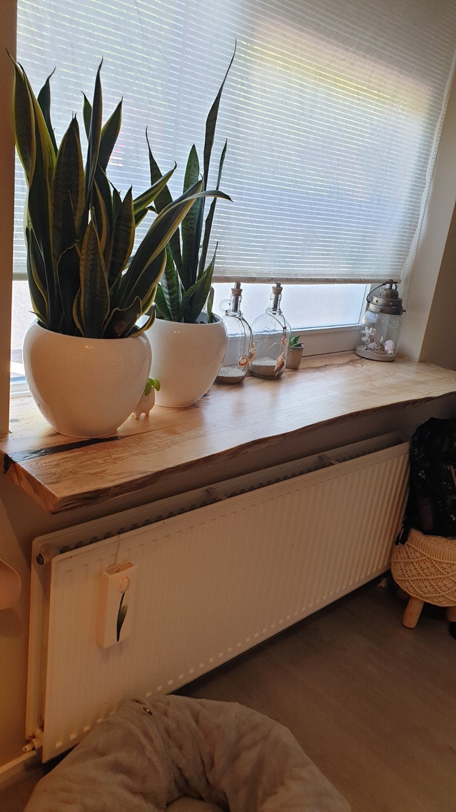 Schaaldelen voor vensterbank,tafel,wandplank, Ophalen, 25 tot 50 mm, Eiken, Nieuw