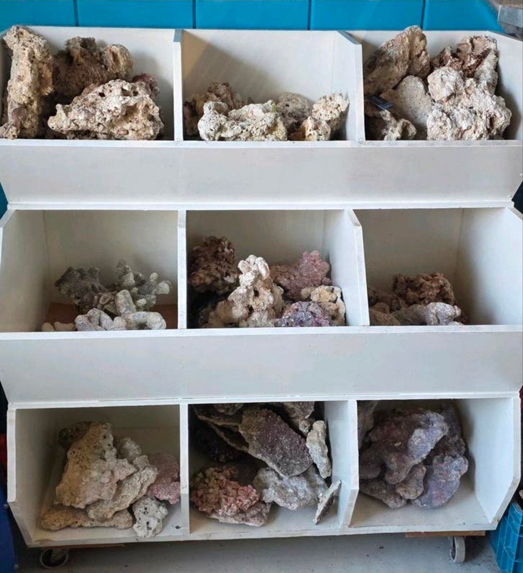 Rifsteen voor het zeeaquarium of terrarium, Dieren en Toebehoren, Vissen | Aquaria en Toebehoren, Ophalen of Verzenden, Nieuw
