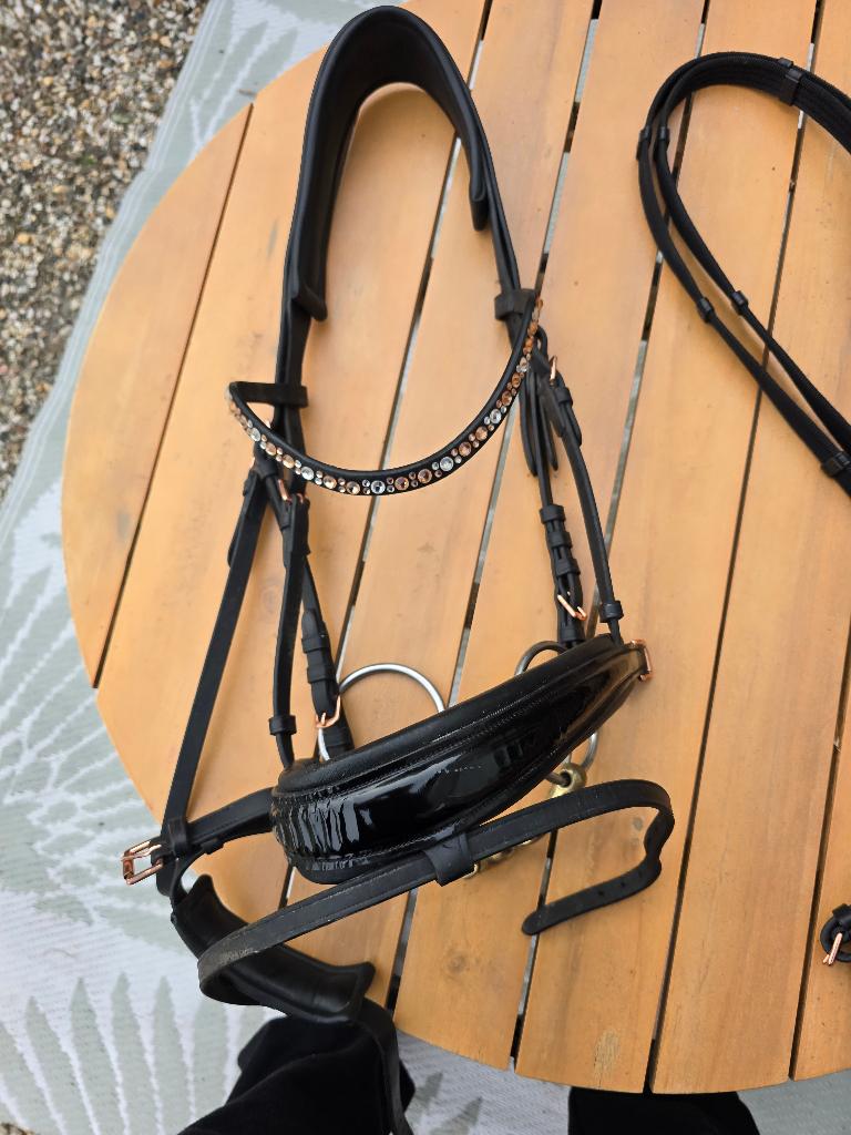 Hoofdstel en Cap,.en overige spullen, Ophalen, Gebruikt, Dressuur