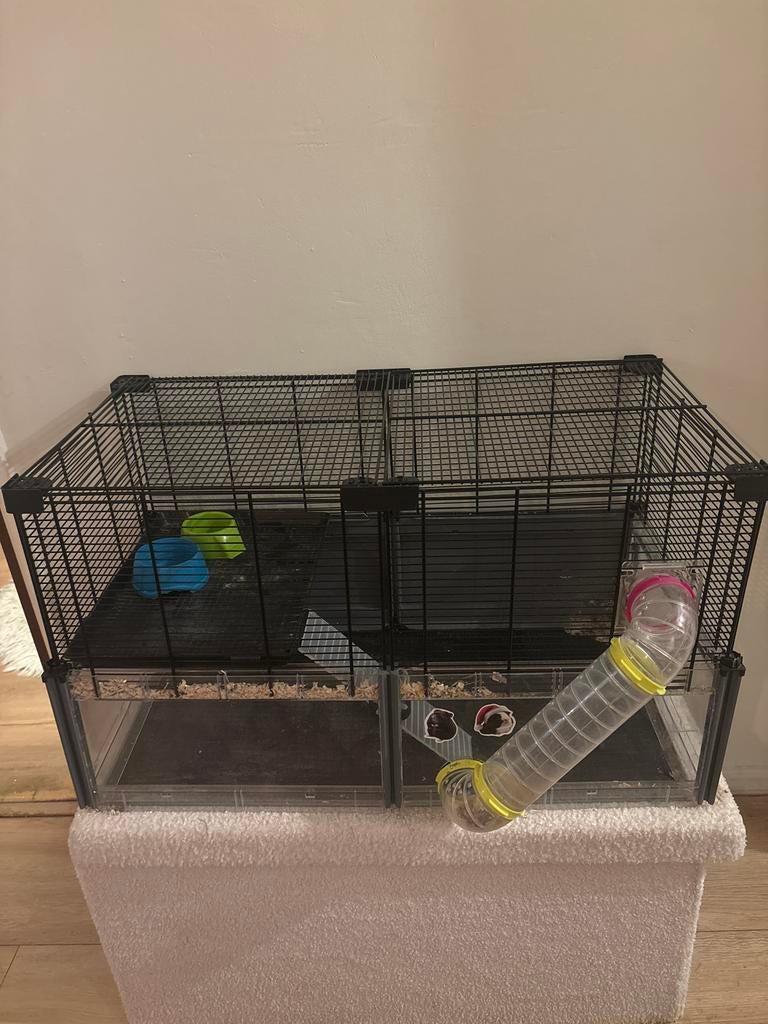 hamsterkooi, Kooi, Minder dan 75 cm, Ophalen, Minder dan 60 cm