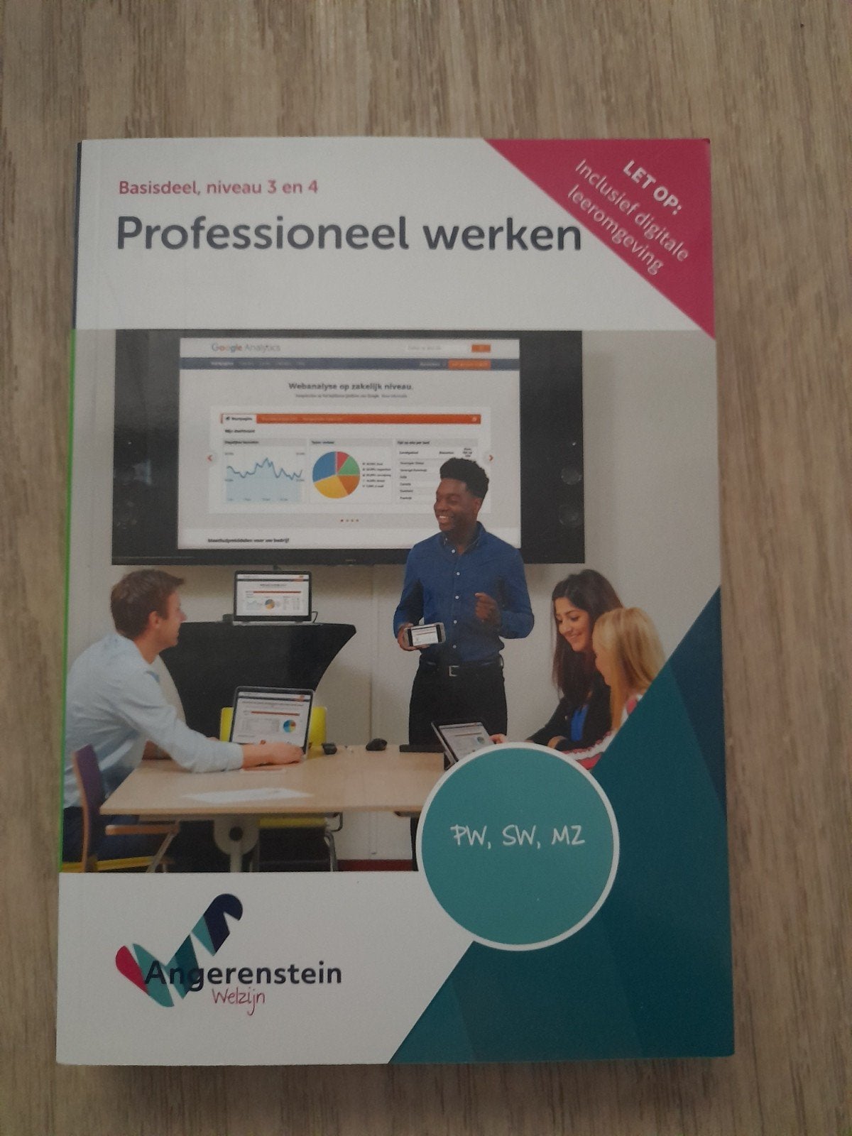 Studieboek Professioneel werken, Boeken, Ophalen of Verzenden, Zo goed als nieuw, Overige niveaus, Overige vakken