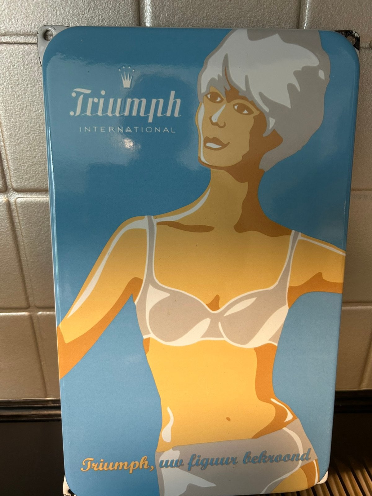 Ijzer reclame bord uniek van triumph, Ophalen of Verzenden, Zo goed als nieuw, Reclamebord
