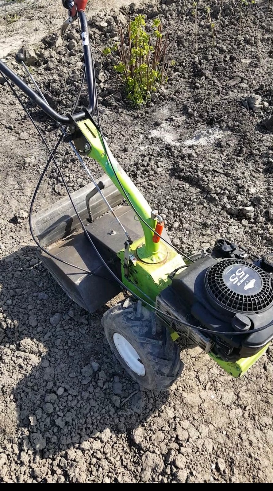 Tuinfrees, Ophalen, Gebruikt