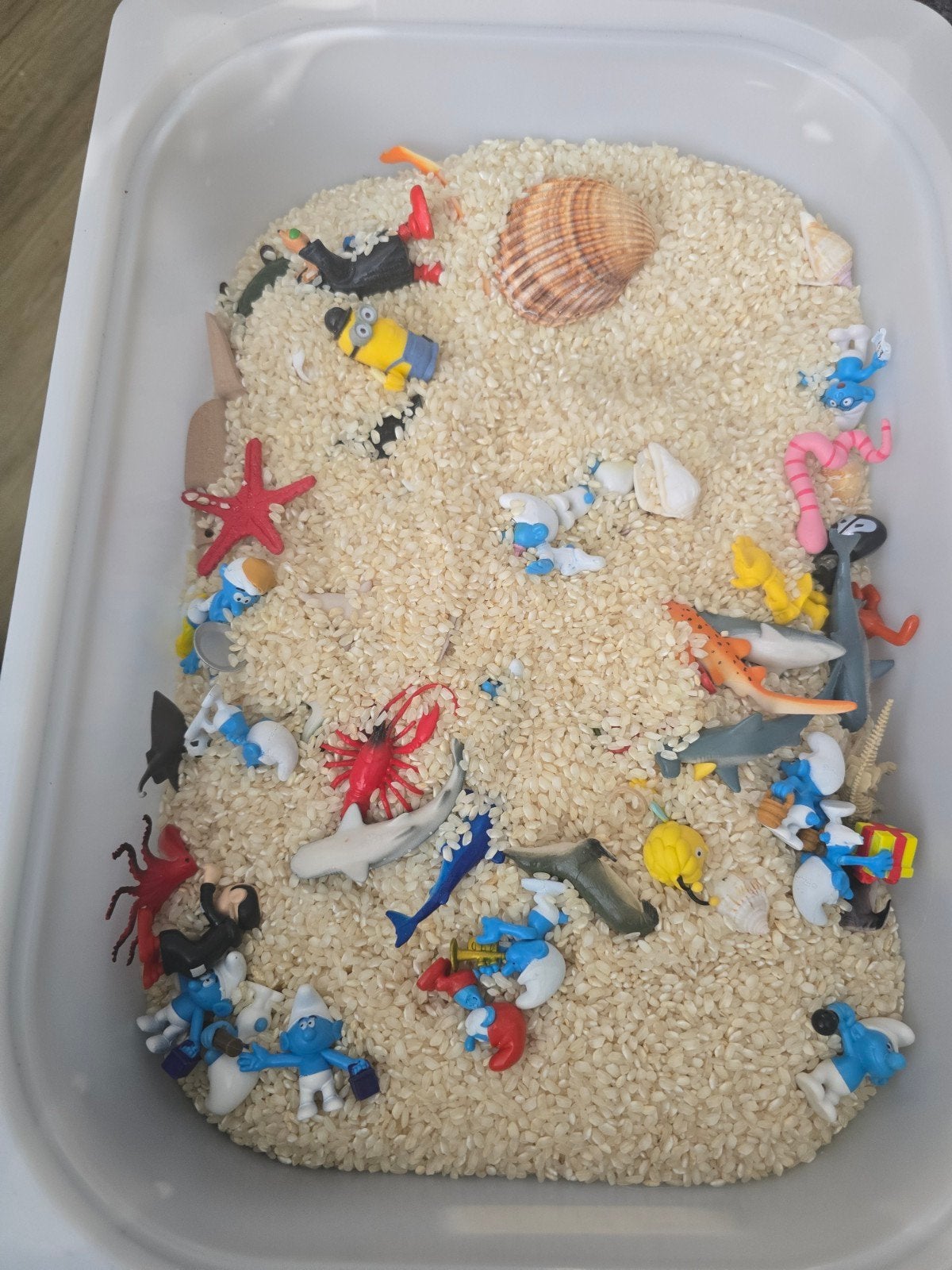 Sensorische speelbak met rijst en figuren, Ophalen