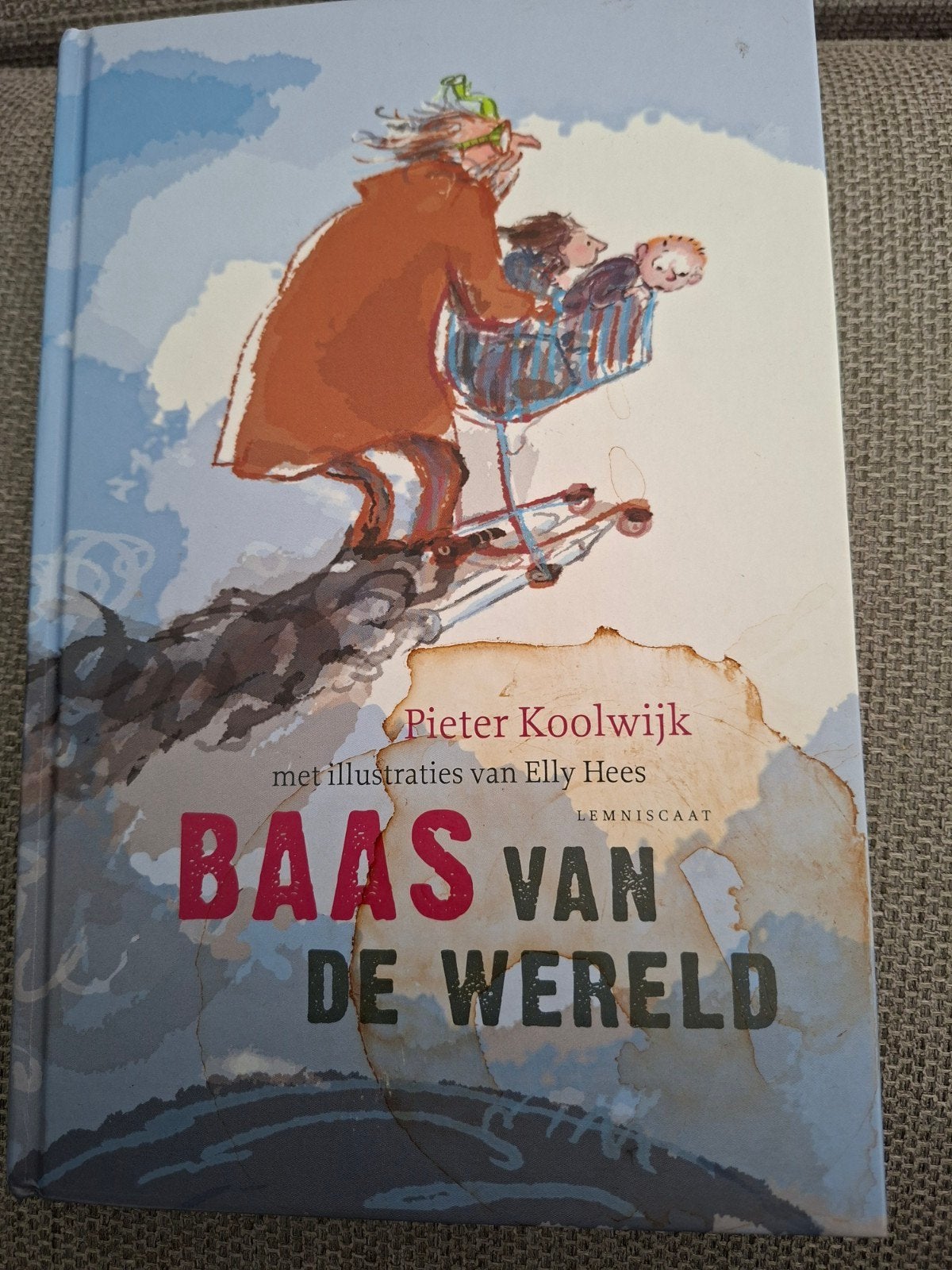 Baas van de Wereld - Pieter Koolwijk, Boeken, Ophalen, Zo goed als nieuw, Pieter Koolwijk, Fictie algemeen