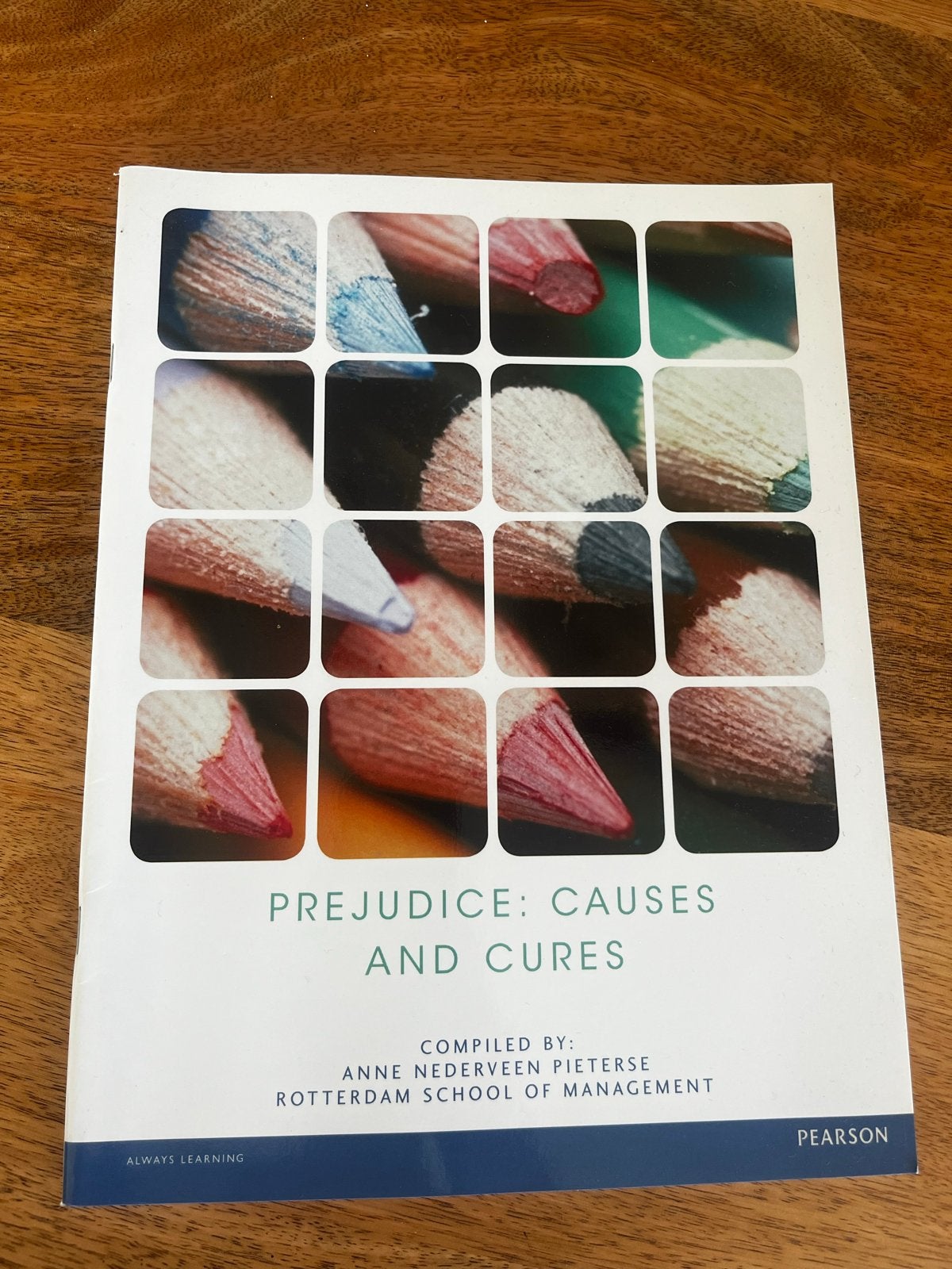 Prejudice: Causes and Cures - Anne Nederveen Pieterse, Ophalen of Verzenden, Gamma, Gelezen, WO
