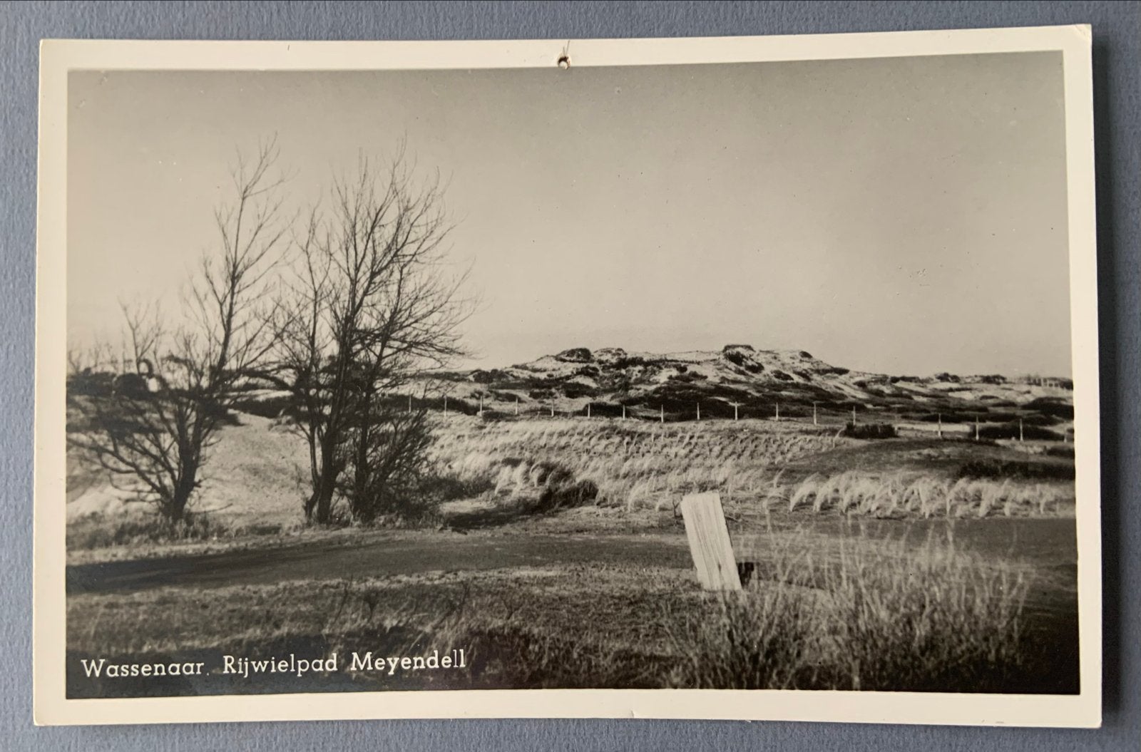 Wassenaar Rijwielpad Meyendell 1951, Verzenden, 1940 tot 1960, Gelopen, Zuid-Holland