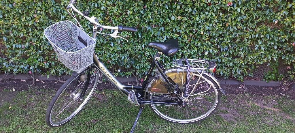 Gazelle fiets, in zeer goede staat, Ophalen, 53 tot 56 cm, Versnellingen, Zo goed als nieuw
