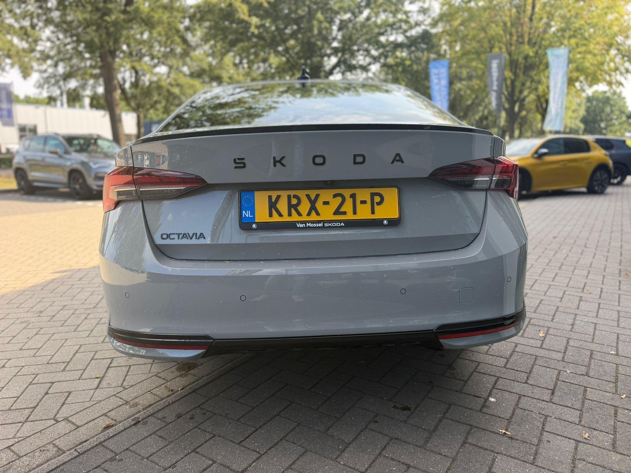 Skoda Octavia 1.5 TSI MHEV Sportline Business | Automaat | S, Auto's, 12 maanden, 1498 cc, Euro 6, 4 cilinders