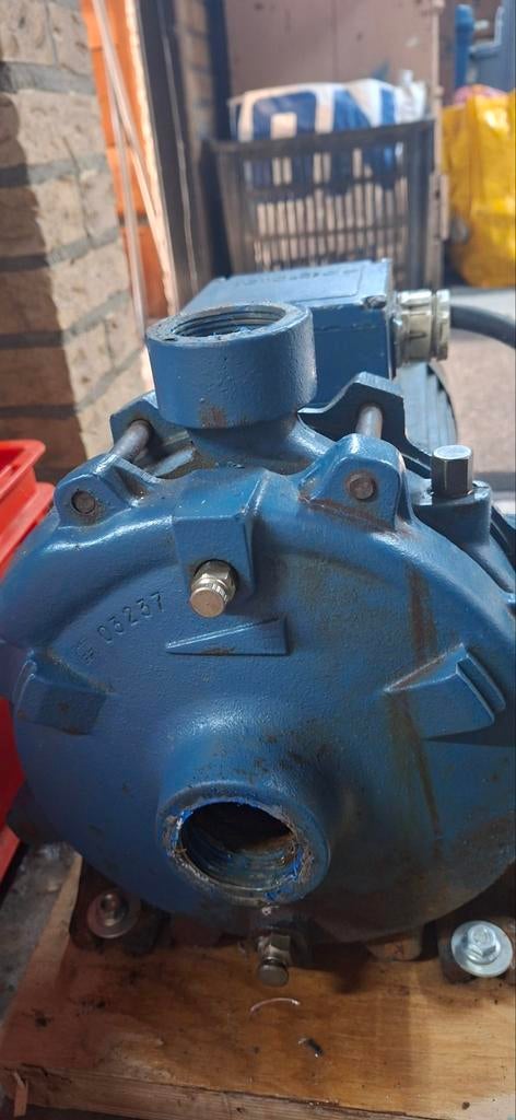 Pedrollo 2CP 32/200C Waterpomp - Krachtige Industriële Pomp, Tuin en Terras, Waterpompen, Ophalen, Gebruikt, Elektrisch, Beregeningspomp