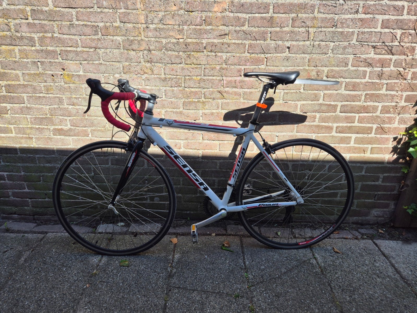 Sensa Prima Racefiets | Framemaat 50 | Shimano Tourney, Gebruikt, Aluminium, 49 tot 53 cm, Meer dan 20 versnellingen