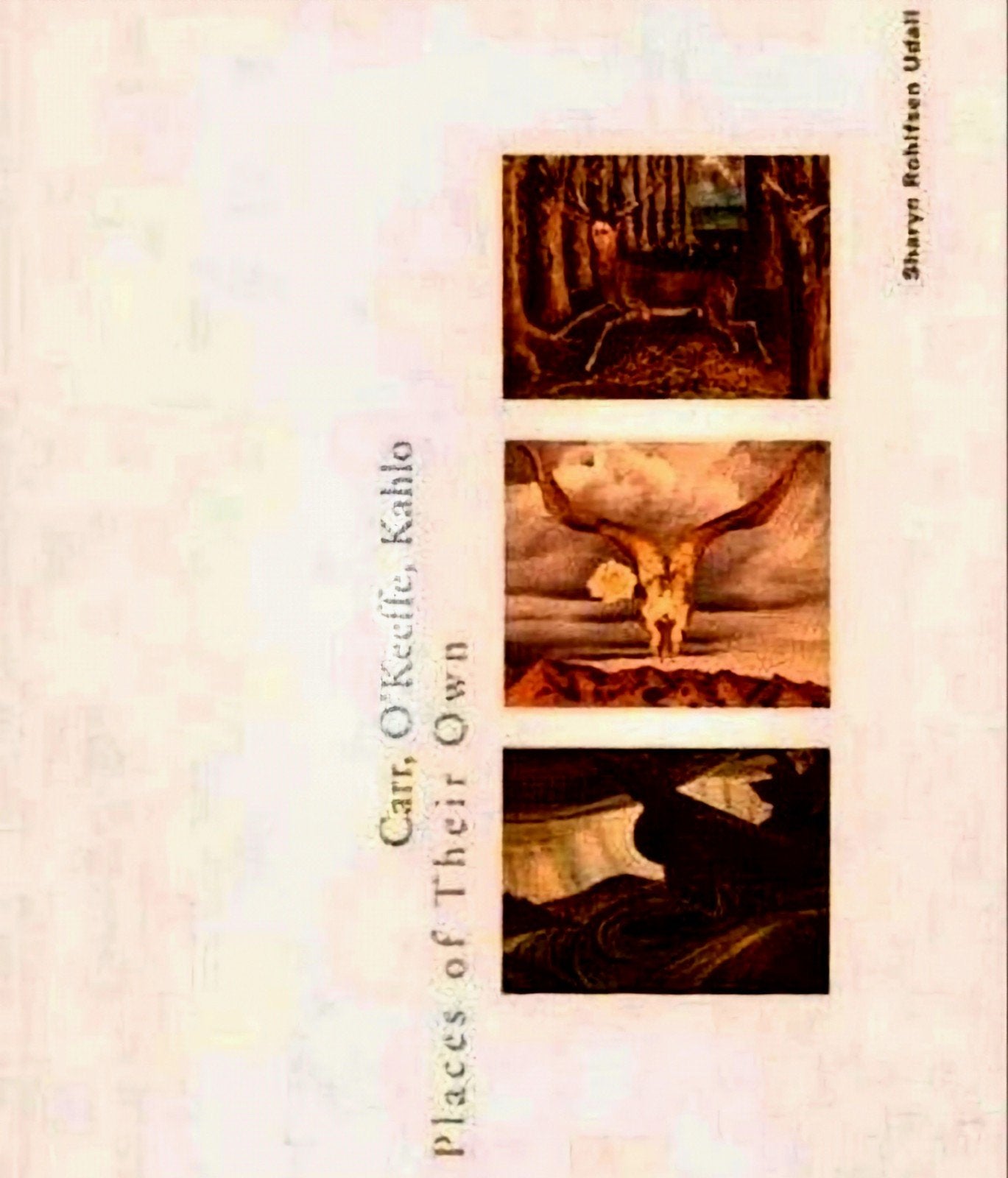 CARR, O'KEEFFE, KAHLO Places of their own., Verzenden, Zo goed als nieuw
