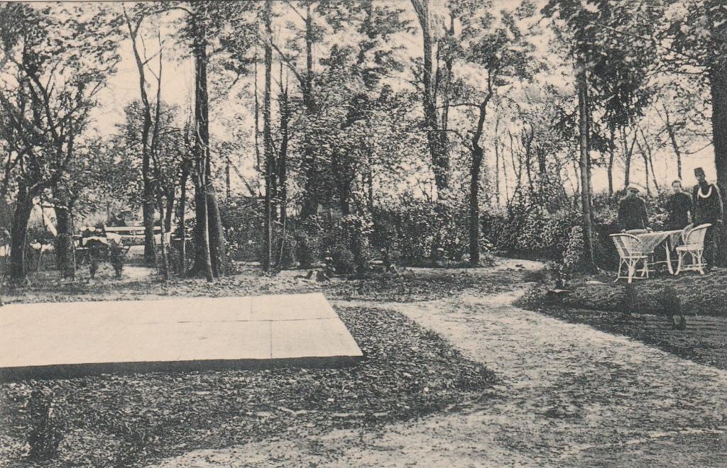 bellingwolde- tuin hotel reiderland, Verzenden