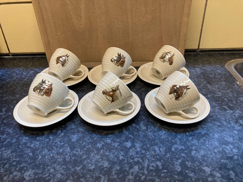 Set van 6 Royal Schwabap paardenhoofd kop en schotels, Verzenden, Keramiek, Zo goed als nieuw, Overige stijlen