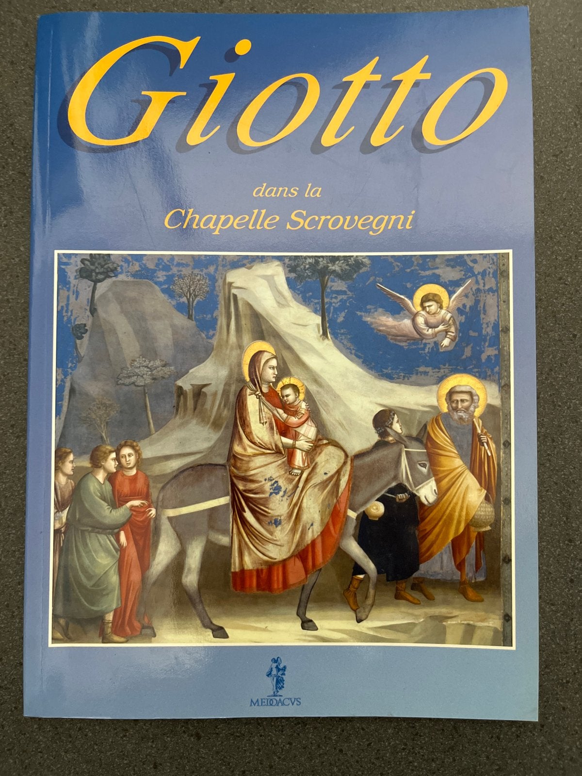 Giotto in de Scrovegni-kapel - Kunstboek, Boeken, Ophalen of Verzenden, Zo goed als nieuw, Schilder- en Tekenkunst