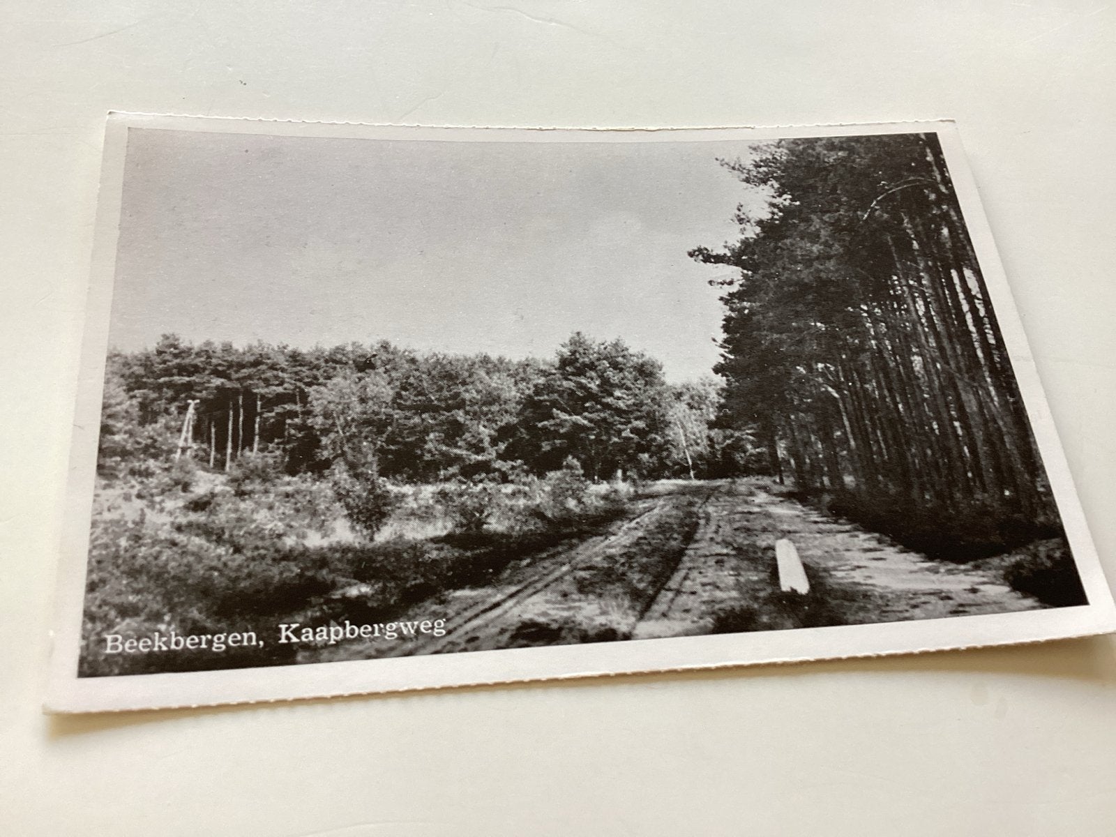 Beekbergen, Kaapbergweg - Gelopen, Ophalen of Verzenden, Voor 1920, Gelopen, Gelderland