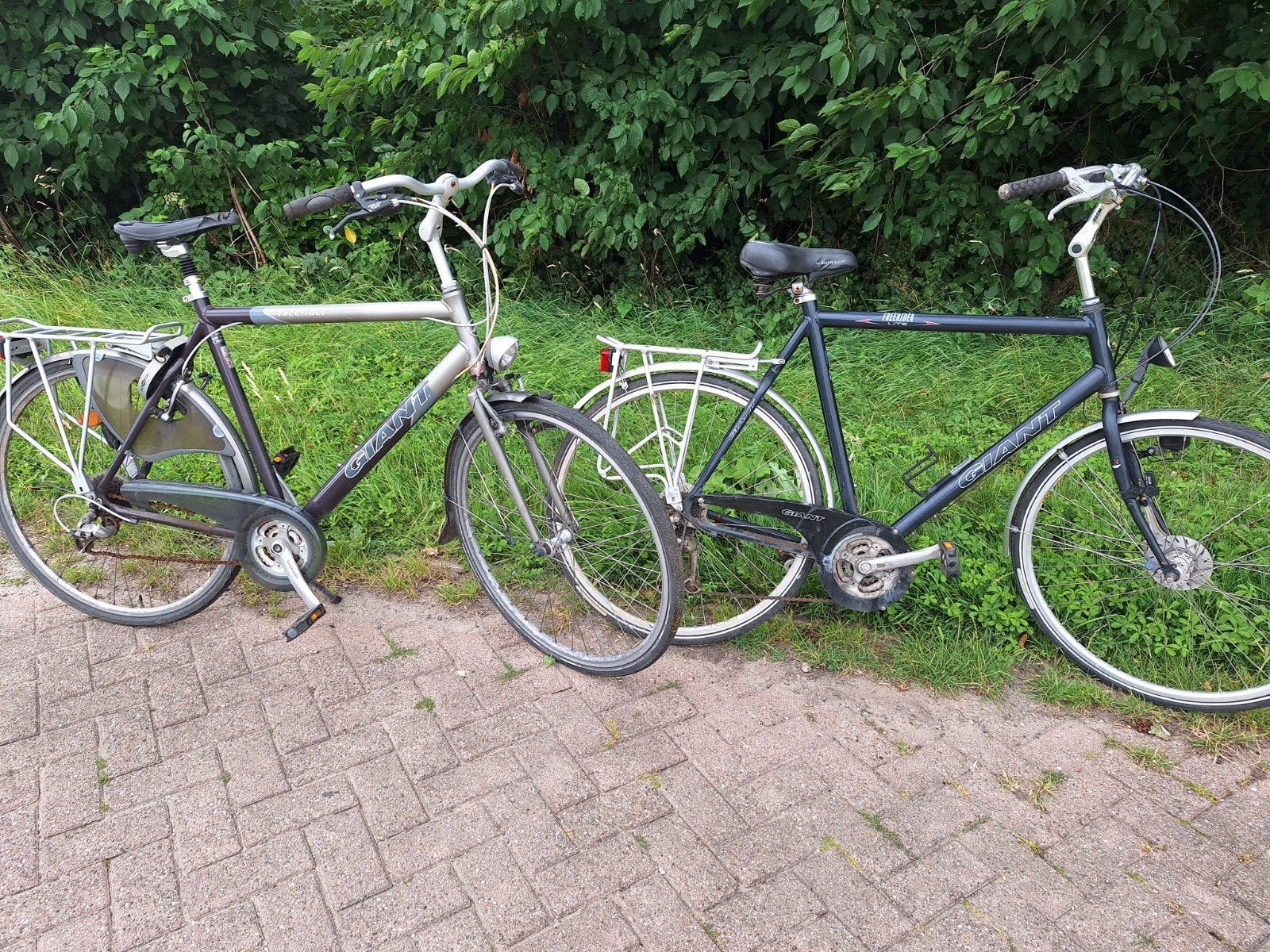 Giant freerider 2x, Ophalen, Gebruikt, Minder dan 10 versnellingen, Giant