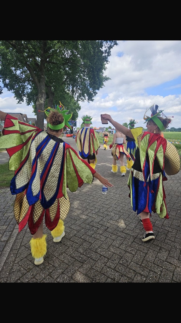 Carnaval kleding thema vogels, Kleding | Dames, Carnavalskleding en Feestkleding, Ophalen, Zo goed als nieuw, Maat 38/40 (M), Carnaval